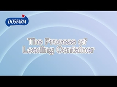 Σκληρή τυποποιημένη διαδικασία αποστολής